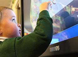 Touchscreens push out whiteboards at Toftwood Infant School